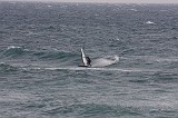 20130120_0404